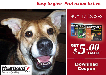  We Recommend - Heartgard - Easy To Give Protection To Live